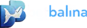 Betbalina Kayıp İade Bonusu